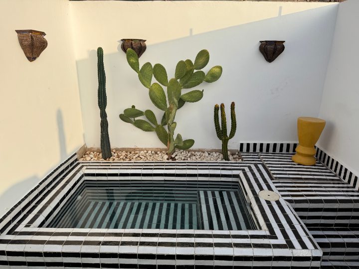 Piscine privée de Riad Sasha bordée de zellige noir et blanc, cactus et figuier de Barbarie