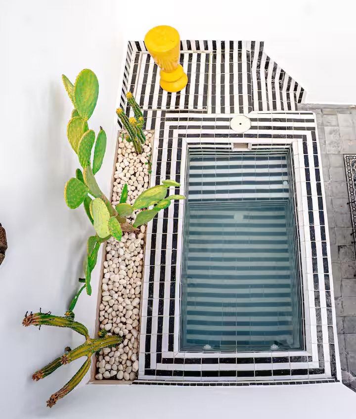 Piscine privée de Riad Sasha vue du dessus, zellige noir et blanc et cactus