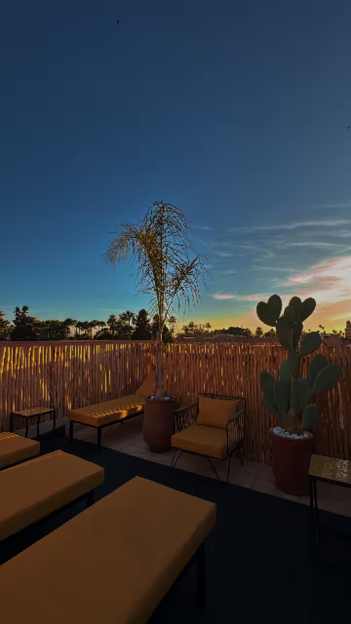 Coucher de soleil depuis la terrasse de Riad Sasha, palmier et cactus devant un ciel orangé