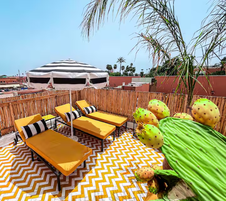 Transats et parasol rayé de la terrasse de Riad Sasha, figuier de Barbarie au premier plan