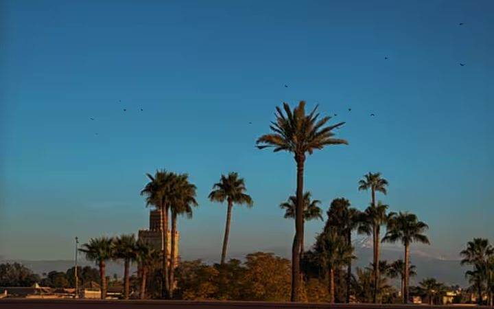 Vue panoramique depuis la terrasse de Riad Sasha sur les toits de la médina, palmiers et minaret